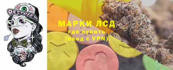 СК Аркадак