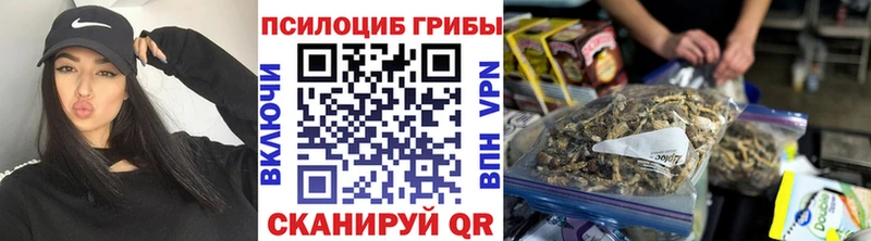 Псилоцибиновые грибы Cubensis Солнечногорск